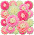 WILLBOND 18 Pcs Large Mexican Paper Flowers Colorful Fiesta Tissue Paper Flowers Carnival Pom Paper Flower Hawaiian Party Backdrop for Floral Part...