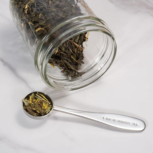 Loose Leaf Tea Spoon Measure | One Cup of Perfect Tea | Stainless Steel Scoop | Premium High Polish Finish...