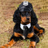 2 Pieces Pet Police Costume Accessory Set Pet Dog Cat Police Hat with Pet Necktie Pet Police Dress Up Kit for Halloween Christmas Cosplay Role Pla...