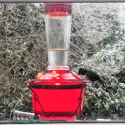 Hummingbird Feeder Heater for Outdoors, Bird Feeder Heater Backyard Hearth Hummingbird Feeder Heater Attaches to The Bottom of an Existing Feeder...