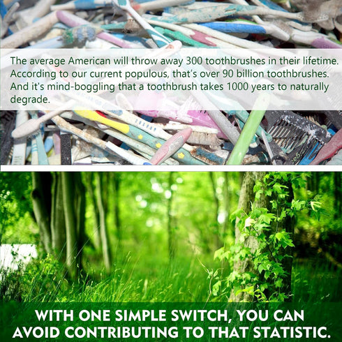 Bamboo Toothbrushes Soft Bristles- 10 Pack Eco-Friendly Toothbrush for Adult, BPA-Free Natural Biodegradable Compostable Charcoal Wooden Tooth Bru...