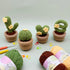 Lily's Lyric Crochet & Craft Kit | Cactus LOVE| Step-by-Step Video Tutorial for Adults Teenagers | Craft Gift Idea DIY Home Decoration......