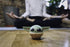 Bitty Boomers Star Wars The Mandalorian: Grogu - Mini Bluetooth Speaker, Multicolored......