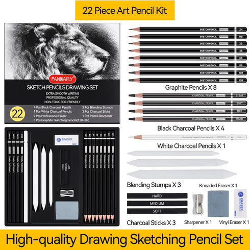 PANDAFLY Drawing Sketching Pencil Set, 22 Piece Pro Art Pencil Kit - Graphite Pencils (12B-2H), Black and White Charcoal Pencils, Charcoal Sticks,...