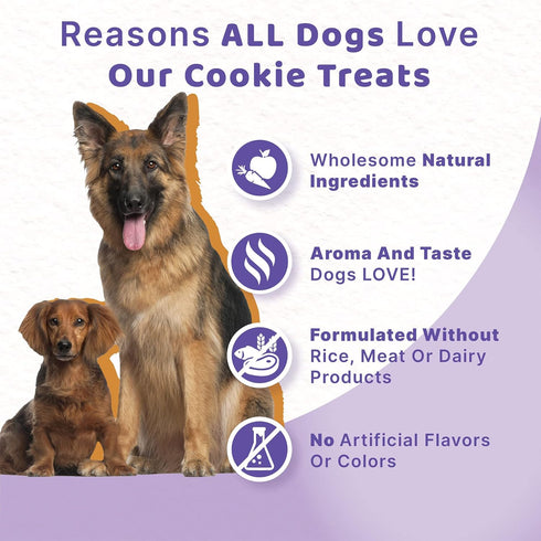 Halo Plant-Based Dog Treats with Peanut Butter and Banana, Vegan Dog Treat Pouch, 8oz bag...