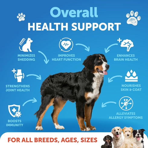 Omega 3 Fish Oil for Dogs - Better Than Salmon Oil for Dogs - Dog Fish Oil - Fish Oil Liquid for Pets EPA DHA - Skin and Coat Food Supplement for ...