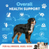 Omega 3 Fish Oil for Dogs - Better Than Salmon Oil for Dogs - Dog Fish Oil - Fish Oil Liquid for Pets EPA DHA - Skin and Coat Food Supplement for ...