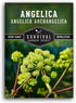 1 Pack Angelica Seeds for Planting with Instructions to Grow Medicinal Herb Angelica Archangelica Live Plants in Your Home Herb Garden - Non-GMO H...