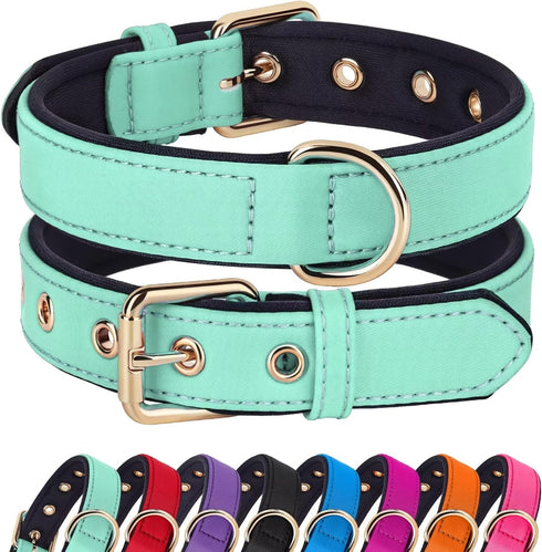 Didog Waterproof Dog Collar with Soft Padded, Strong Dog Collars with Metal Buckle, Lightweight and Breathable Dog Collars for Medium Dogs, Green,...