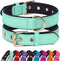 Didog Waterproof Dog Collar with Soft Padded, Strong Dog Collars with Metal Buckle, Lightweight and Breathable Dog Collars for Medium Dogs, Green,...