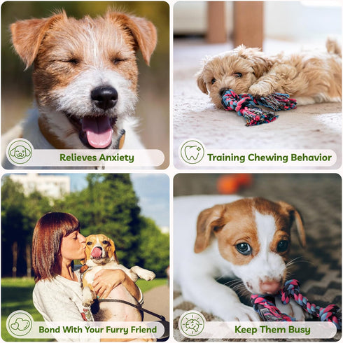 SHARLOVY Puppy Rope Toy, Dog Rope Toy for Small Dogs, Puppy Teething Toys, Cotton Interactive Tug of War Dog Toy for Puppies Boredom, Dog Chew Toy...