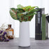 VanEnjoy 7" High Desktop Minimalist White Ceramic Vases Home Office Decoration Frosting Finish Vase...