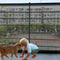 Banister Guard-10ft X 3ft Thick Balcony Safety Net for Kids Pet Balcony Guard Balcony Netting for Pets Rail Net for Balcony Apartment Cat Netting ...