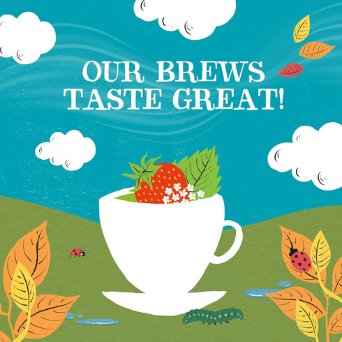 Clipper Tea Strawberry & Elderflower Herbal Tea – Caffeine Free, USDA Organic, Great Hot or Iced – Refreshingly Fruity, Natural, Fair & Delicious ...