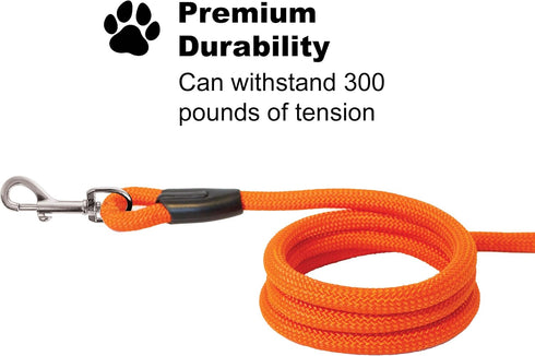 Downtown Pet Supply - Heavy-Duty Corded Dog Leash - Corded Climbing Rope Dog Leash - Recall & Obedience Dog Training Tools - Strong Dog Leash - 30...