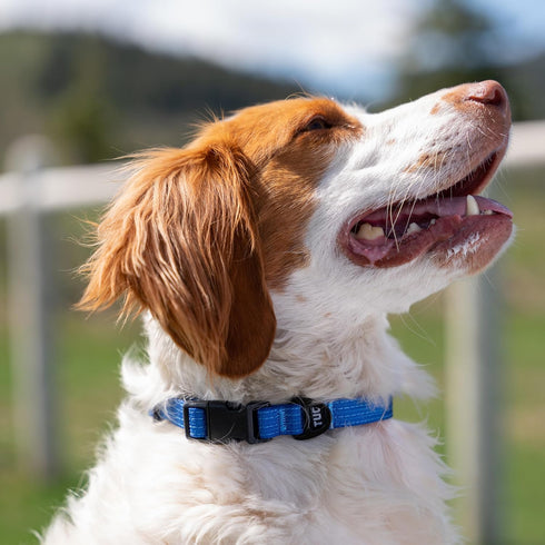 TUG Strong Nylon Dog Collar (Medium, Blue)...