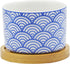 Cute Colorful Japanese Style Ceramic Succulent Cactus Flower Plant Pots with Bamboo Tray (Plant Not Included)...