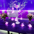 15 Packs 20 Led Purple Fairy Lights Battery Operated 6.6ft Silver String Lights Waterproof Firefly Starry Light for DIY Table Centerpieces Wedding...