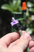 Mister Landscaper 10 GPH Violet Flow Controller...