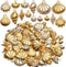 Aylifu Seashell Charms,100 Gram Gold Shell Charms Ocean Theme Pendants Conch Scallops Mussel Marine Life Sea Animals Dangle Charms for Jewelry Mak...