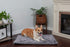 Furhaven ThermaNAP Self-Warming Cat Bed for Indoor Cats & Small Dogs, Washable & Reflects Body Heat - Quilted Faux Fur Reflective Bed Mat - Gray, ...