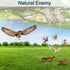 Fake Owls to Keep Birds Away, Bird Scare Devices, Bird Control, Cardboard Garden Decor Outdoor, Hanging Reflectors to Keep Pigeons Away from House...