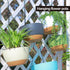 2pcs 9.5 Inch Black Hanging Chain for Bird Feeders, Planters, Lanterns, Lanterns, Suet Baskets, Wind Chimes, Chains Signs and Ornaments...