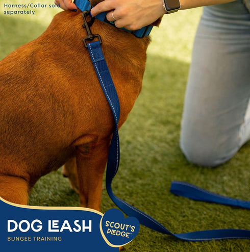 Good Scout Heavy Duty Bungee Leash, Walking & Training Leash for Puppies & Adult Dogs, Blue, Medium...