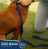 Good Scout Heavy Duty Bungee Leash, Walking & Training Leash for Puppies & Adult Dogs, Blue, Medium...