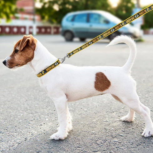 NFL PET Leash Green Bay Packers Dog Leash, Large Football Team Leash for Dogs & Cats. A Shiny & Colorful Cat Leash & Dog Leash Licensed by The NFL...