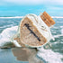 Honeymoon Sand Keepsake Jar - Honeymoon Gifts for Newlyweds Couple,Wedding,Engagement Vacation Travel - Wedding Gifts for Couple with Unique Roman...