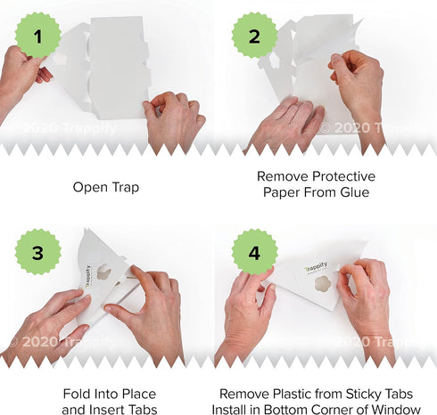 Trappify Fly Trap Indoor: Window Fly Traps for Home | Fruit Fly Traps for Indoors, Gnat Traps for House Indoor | Disposable Fly Trap with Sticky A...