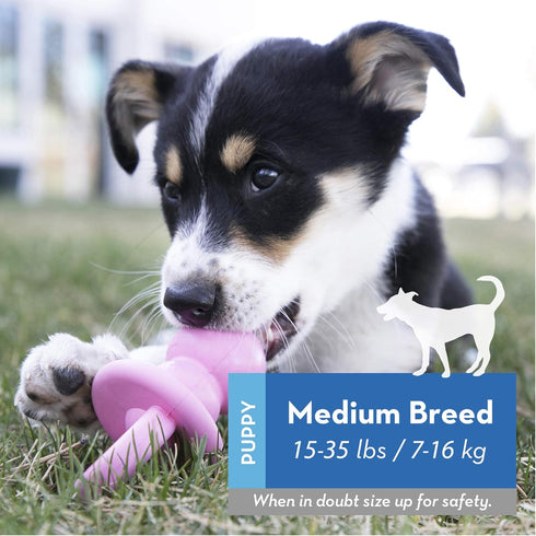 KONG Puppy Binkie - Pacifier Dog Toy for Puppies - Stuffable Chew Toy for Puppy Playtime - Durable Natural Rubber Dog Treat Toy for Teething Puppy...