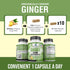 American Standard Supplements Organic Ginger 3850mg Per Serving with Organic Black Pepper Extract, Vegan, Gluten Free, Non-GMO, 90 Capsules, 90 Se...