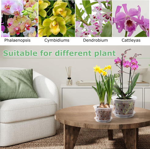 Orchid Pot,3 4 5 6 Inch 8 Pack Orchid Pots with Holes and Saucers,Clear Plastic Flower Plant Pot for Indoor Outdoor Plants,Slotted Orchids Planter...