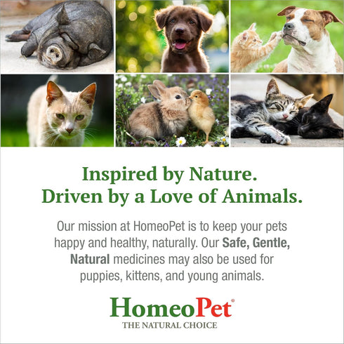 HomeoPet Joint Stress, Joint Support for Dogs and Cats, Liquid Pet Meds to Support Healthy Joint Movement, 15 Milliliters...