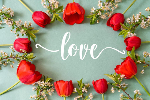Stencils for Painting on Wood, Canvas, Cursive Script Sayings, Word Paint Stencils Welcome Love Grateful Hearts Reusable, 16pcs Essential Inspirat...