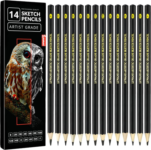 Drawing Pencils Set of 14 (B - 12B) Sketching Pencils for Drawing, Shading & Doodling | Professional Sketch Pencils Graphite Grades for Artists & ...