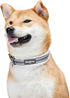 Blueberry Pet Soft & Comfy Multi-colored Stripe Fleece Padded Adjustable Dog Collar with Metal Buckle - Grey, Neck 9-12.5", for Small Breed...