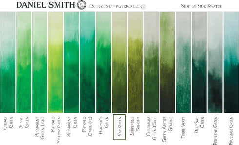 Daniel Smith Extra Fine Watercolor Paint, 5ml Tube, Sap Green, 284610102, 0.17 Fl Oz (Pack of 1)...