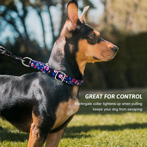 Martingale Collar for Dogs, Adjustable Soft Nylon Dog Collars with Special Design Cute Patterns for Small Medium Large Dog...