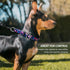 Martingale Collar for Dogs, Adjustable Soft Nylon Dog Collars with Special Design Cute Patterns for Small Medium Large Dog...