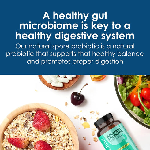 Capsuline Advanced Probiotic DE111 Strain Bacillus Subtilis Spore Based, 11.5 Billion CFU|Digestive Health, Gut & Immune Support|Daily Probiotic f...