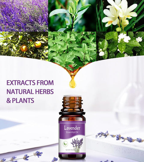 Essential Oils Natural Oils Fragrance Oil for Diffuser Humidifier Home Candle Making Replenish Set-6 Pack,Lavender, Lemon, Peppermint, Sweet Orang...