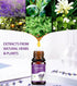 Essential Oils Natural Oils Fragrance Oil for Diffuser Humidifier Home Candle Making Replenish Set-6 Pack,Lavender, Lemon, Peppermint, Sweet Orang...