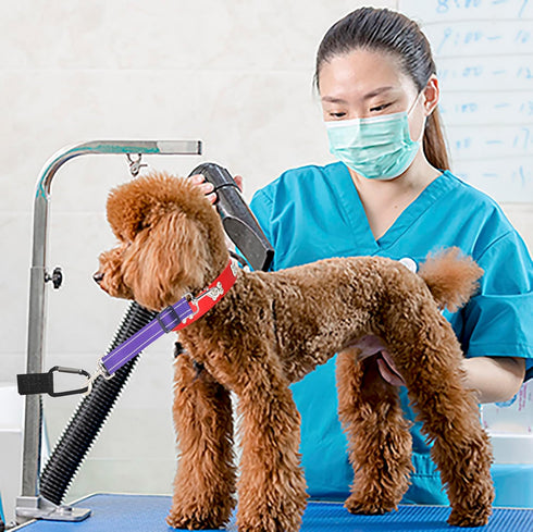 Pet Dog Grooming Arm Accessories Supplies Compatible for Groomers Helper Grooming Loop Dog Grooming Extension Strap Adjustable Dog Grooming Table ...