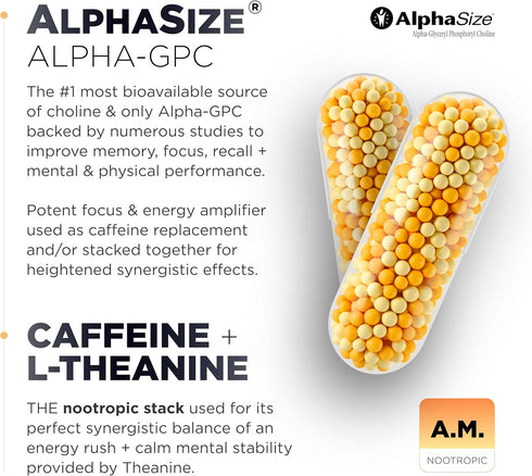 AMPM Nootropic Total Focus + Calm 9X Strength w. Caffeine, L-Theanine, Alpha GPC, L-Tyrosine, Ashwagandha - X-Release Energy Pills Nootropics Brai...