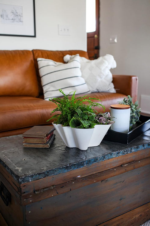 The HC Companies 8 Inch Venus Succulent Planter - Unique Decorative Shallow Plastic Plant Pot with Drainage, Artisan Taupe...