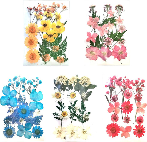 Dried Pressed Flowers?80 Pcs Real Pressed Flowers Dry Leaves Bulk Natural Herbs Kit for Scrapbooking DIY Art Crafts, Epoxy Resin Jewelry, Candle, ...