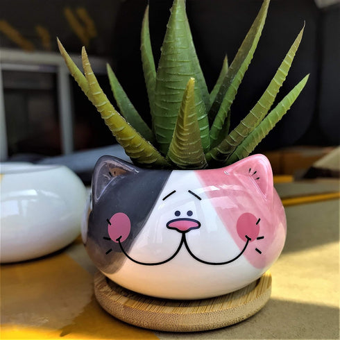 Cute 3.5 Inches Indoor Cartoon Animal Cat Shaped Ceramic Succulent Cactus Flower Plant Pots with Bamboo Tray (Plant Not Included) (Grey)...
